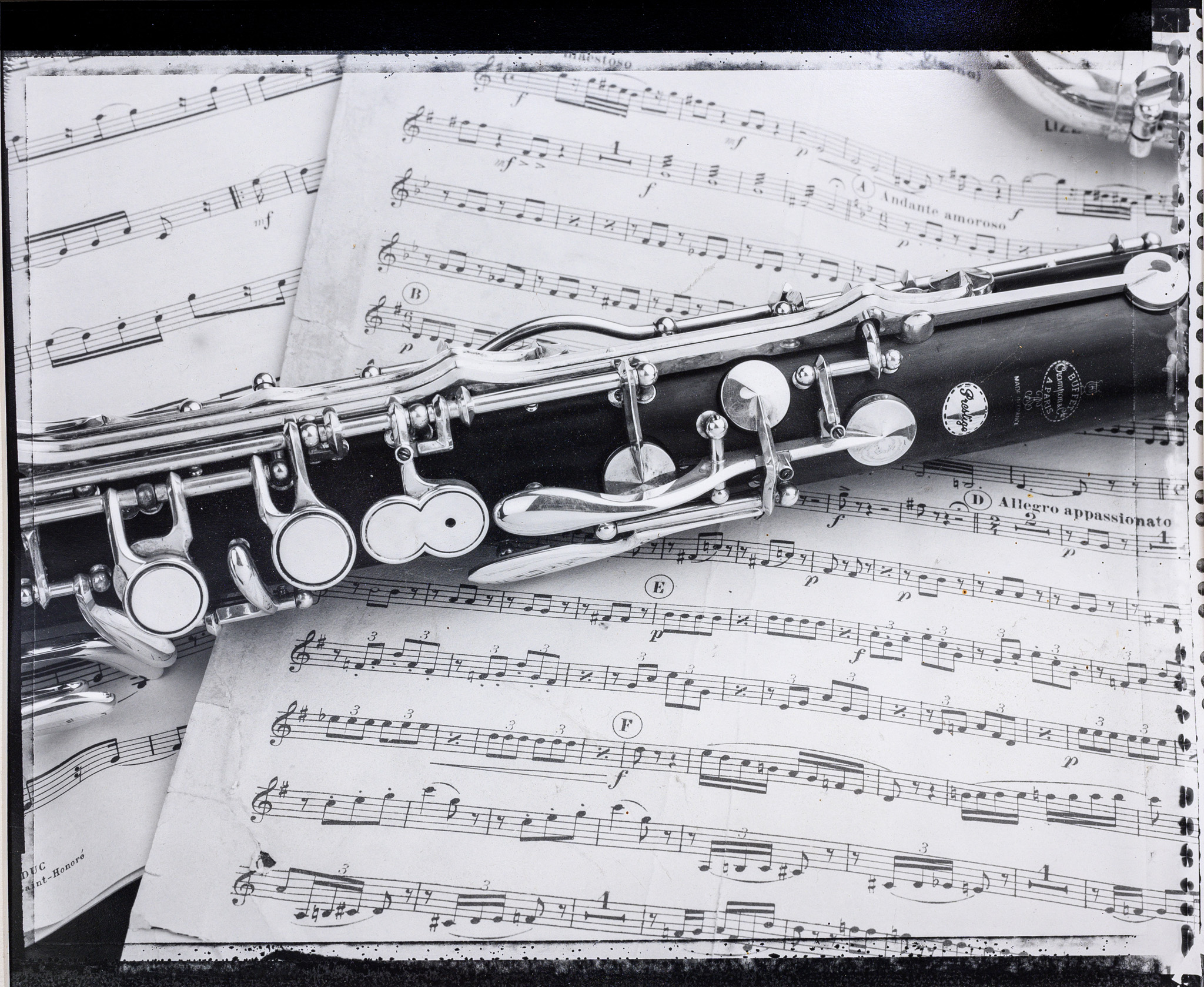 28 2048 pixel polaroid polapan type 55 clarinetto alta