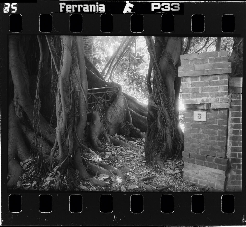 LOF_0043 2048 ferrania bicknell cancello n 3